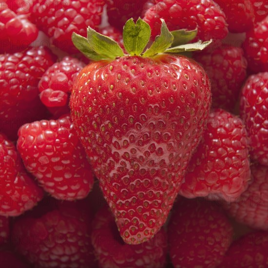 Strawberry on top of pile of raspberries