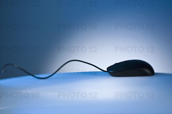 Computer mouse.