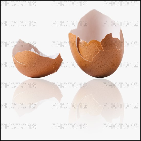 Cracked egg shell