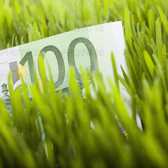 100 euro bill in grass