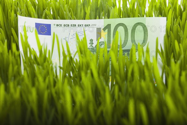 100 euro bill in grass