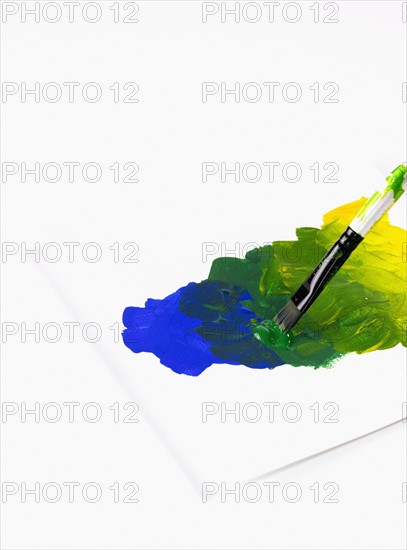 Paintbrush