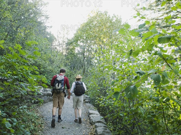 Hikers on path