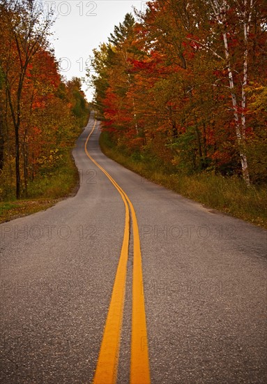 Road in autumn