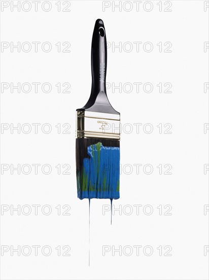 Paint brush