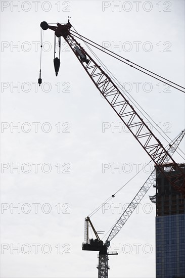 Crane