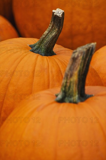 Pumpkins