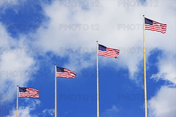 American flags