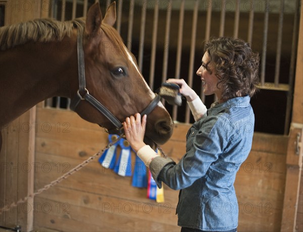 Woman grooming horse.