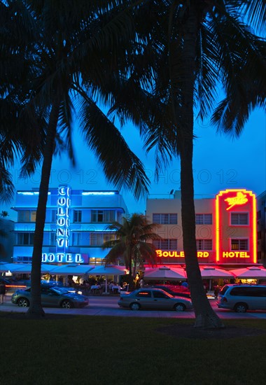 Palm trees and street at night.