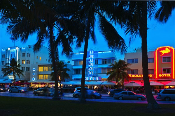 Palm trees and street at night.