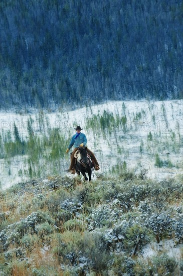 Horseback rider.