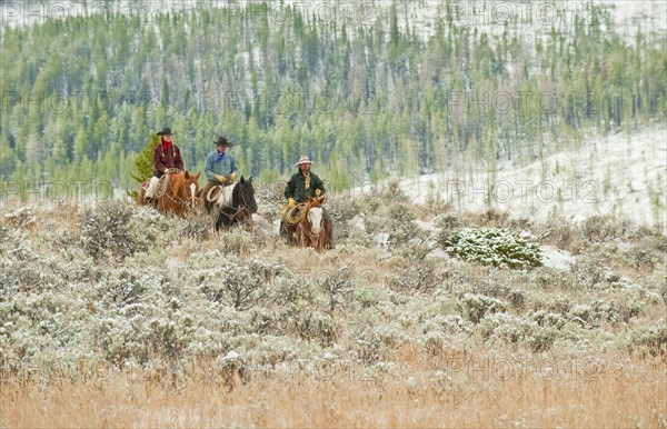Horseback riders.