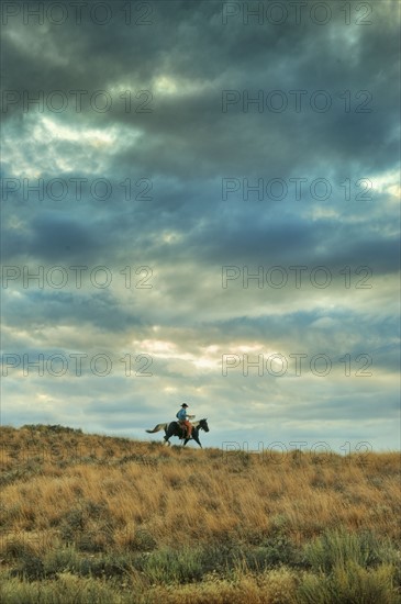 Horseback rider.