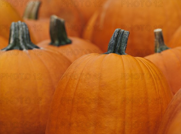 Pumpkins