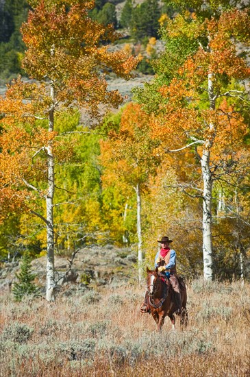 Horseback rider.