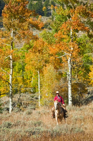 Horseback rider.