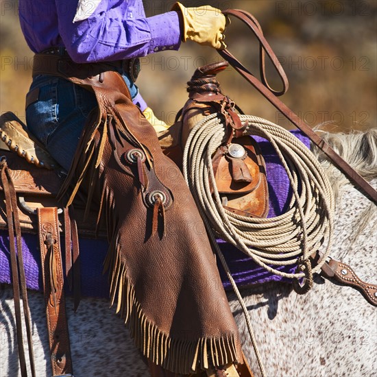 Cowgirl.