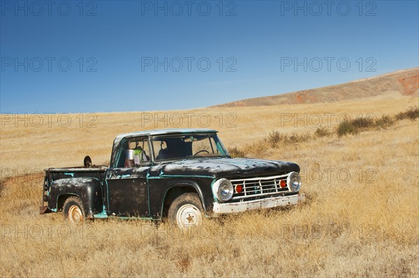 Truck in field.