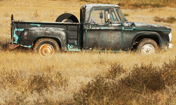 Vintage pickup truck in field.