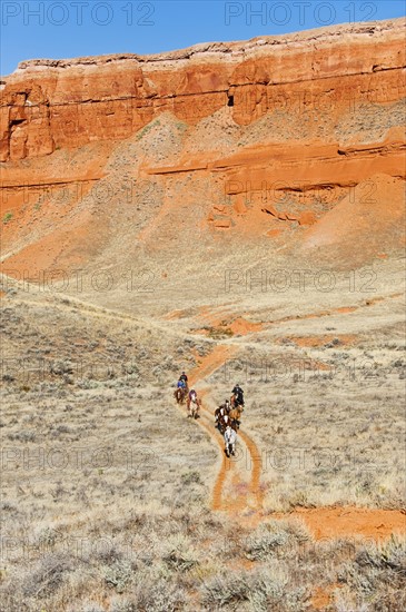 Horseback riders on trail.