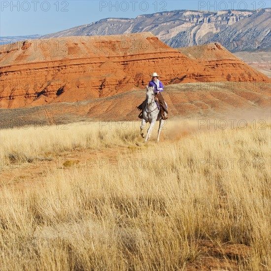 Horseback rider.