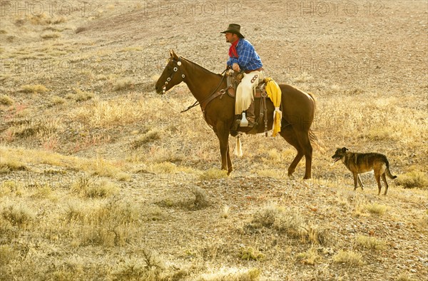 Horseback rider and dog.