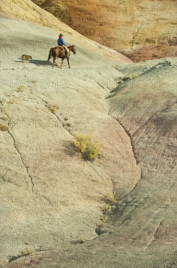 Horseback rider.