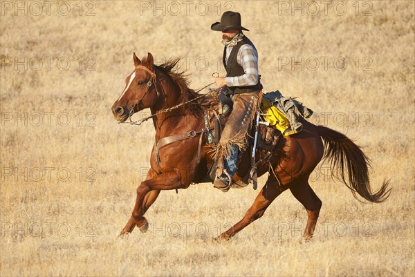 Horseback rider.