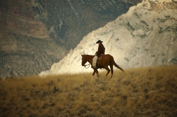 Horseback rider.