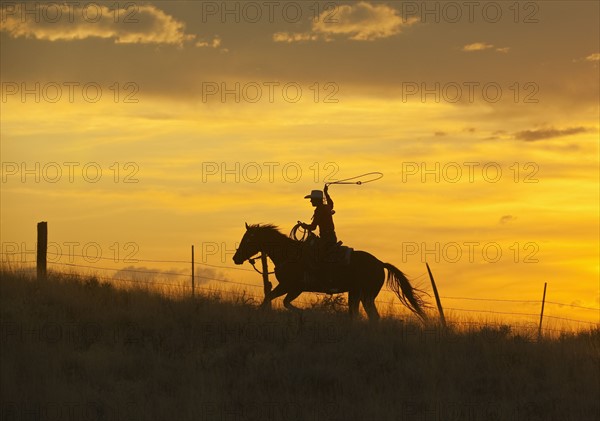 Horseback rider.