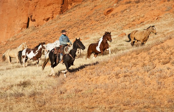 Cowboy herding horses.