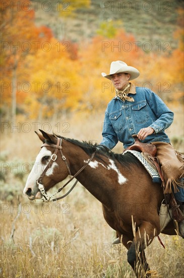 Horseback rider.