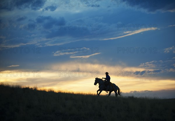 Horseback rider.