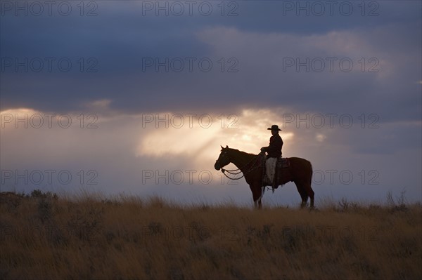 Horseback rider.