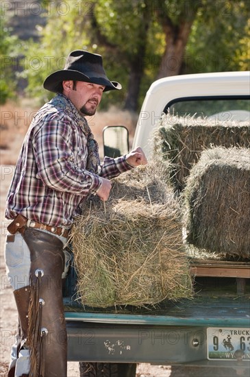 Cowboy lifting bales of hay.