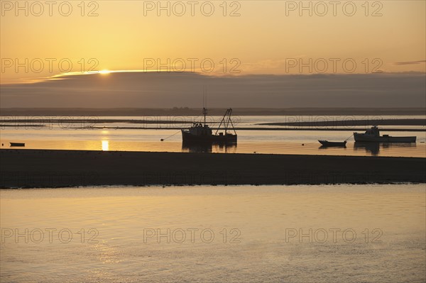 Fishing boats.