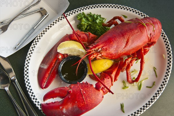 Lobster dinner.