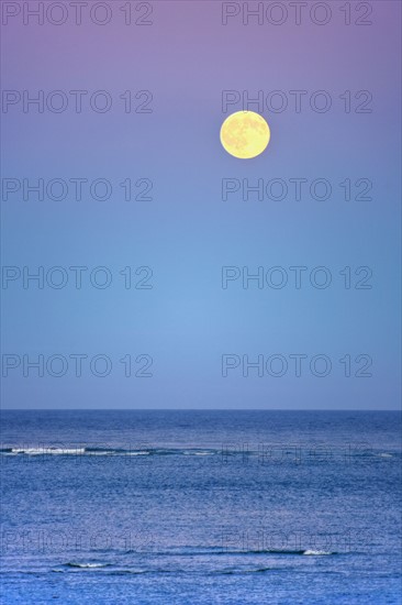 Moonrise over ocean.