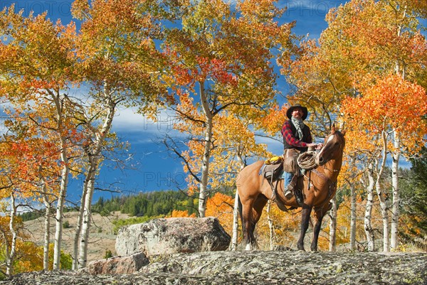 Horseback rider.