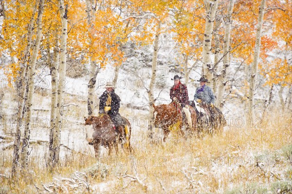 Horseback riders.