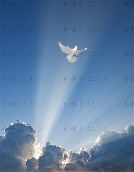 Dove and clouds.