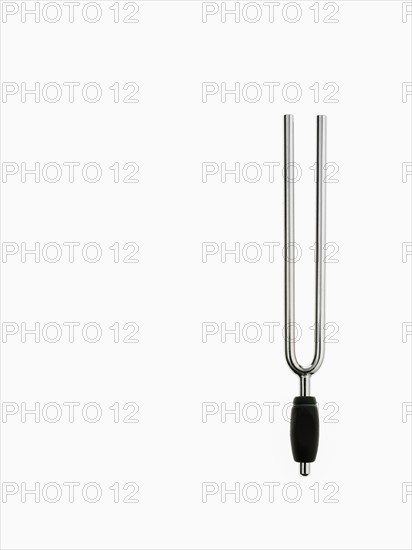 Tuning fork. Photographer: David Arky