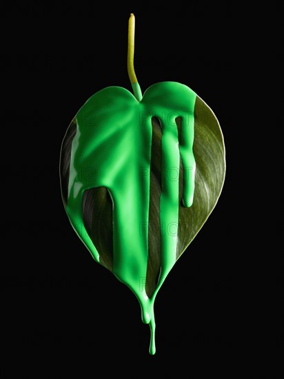 Green paint on leaf. Photographer: Mike Kemp