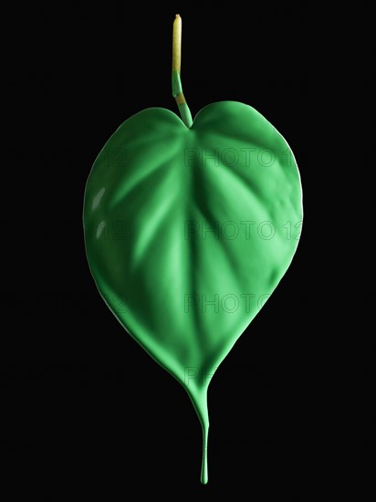 Green paint on leaf. Photographer: Mike Kemp