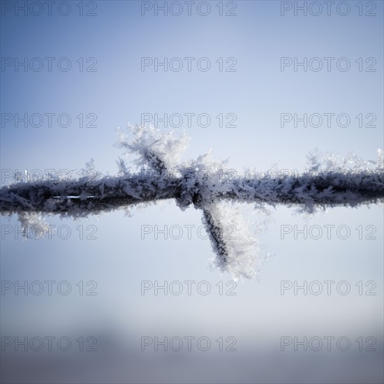 Frost on barbed wire. Photographer: Mike Kemp