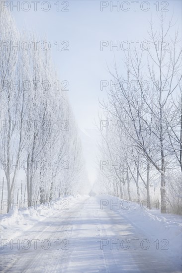 Rural road in winter. Photographer: Mike Kemp