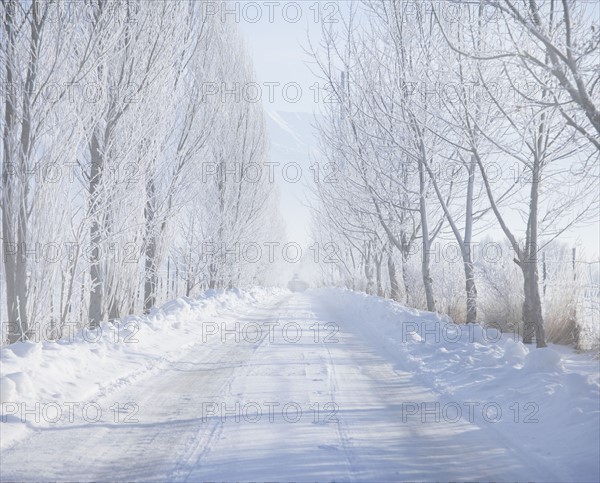 Rural road in winter. Photographer: Mike Kemp