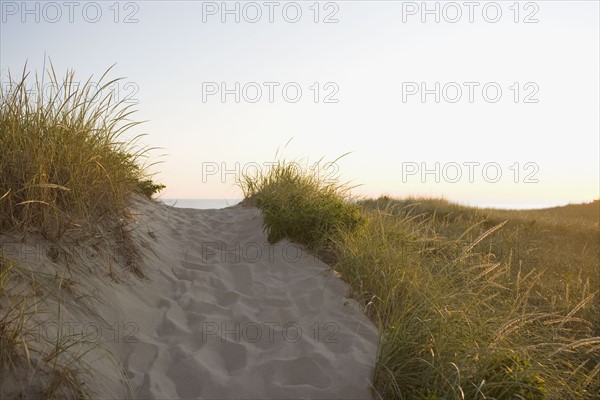 Path to the beach. Photographer: Chris Hackett