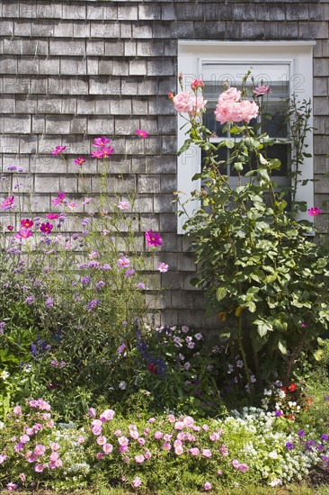 Garden. Photographer: Chris Hackett